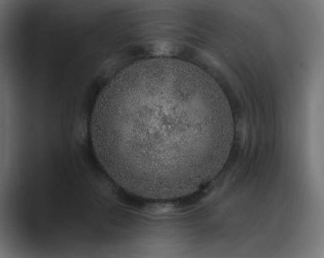 X0000089960554200706291231