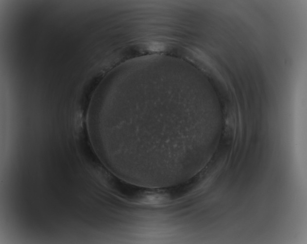 X0000089960555200706291231