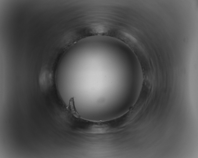 X0000089960556200706291231