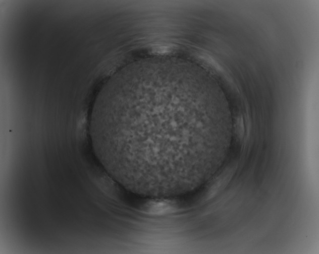 X0000089960557200706291231