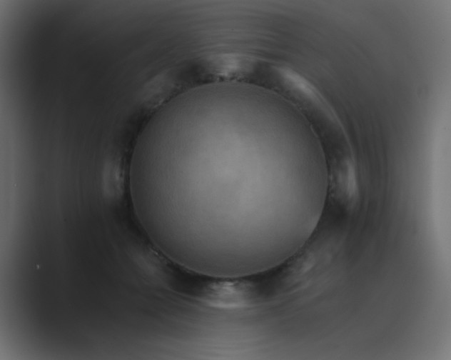 X0000089960558200706291231
