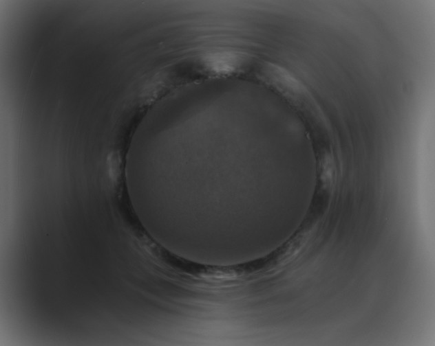 X0000089960559200706291231