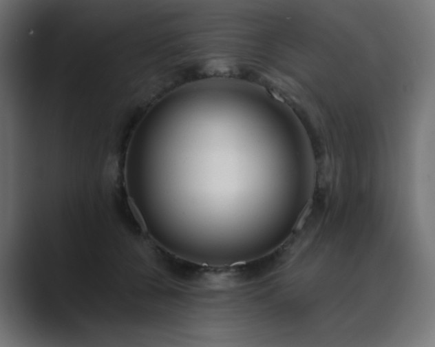X0000089960560200706291231
