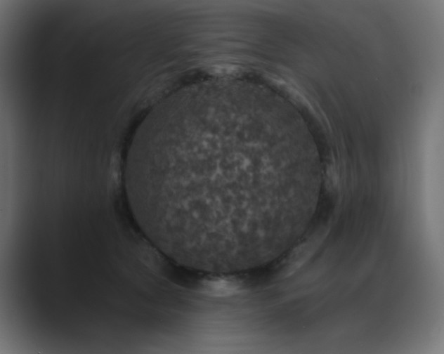 X0000089960561200706291231