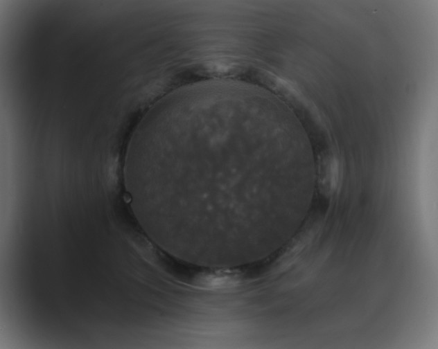 X0000089960563200706291231
