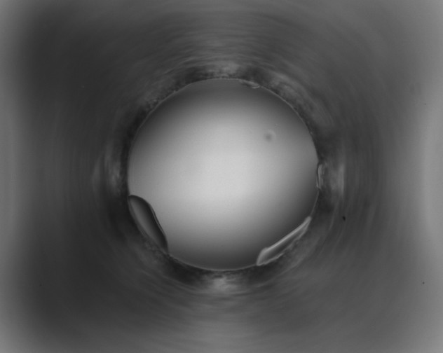 X0000089960564200706291231