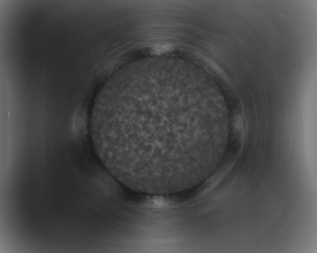 X0000089960565200706291231