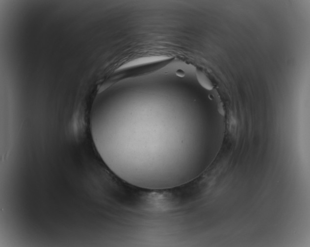 X0000089960566200706291231