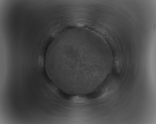 X0000089960568200706291231