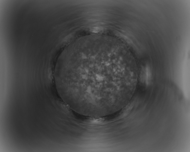X0000089960569200706291231