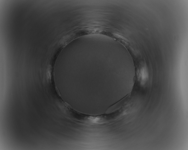 X0000089960570200706291231