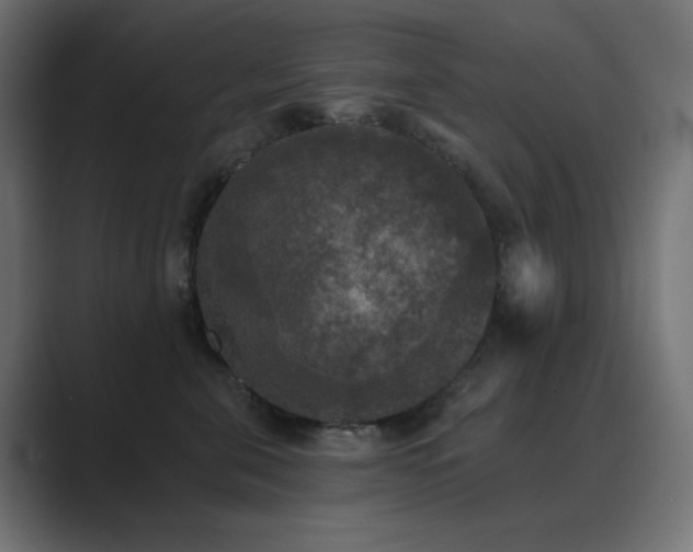 X0000089960571200706291231