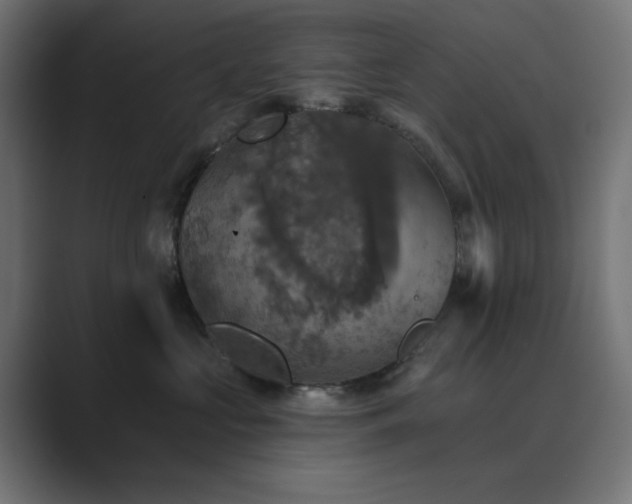 X0000089960573200706291231