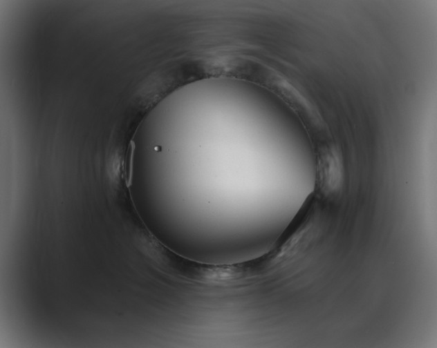 X0000089960574200706291231