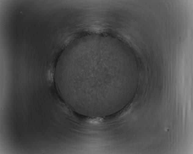 X0000089960576200706291231