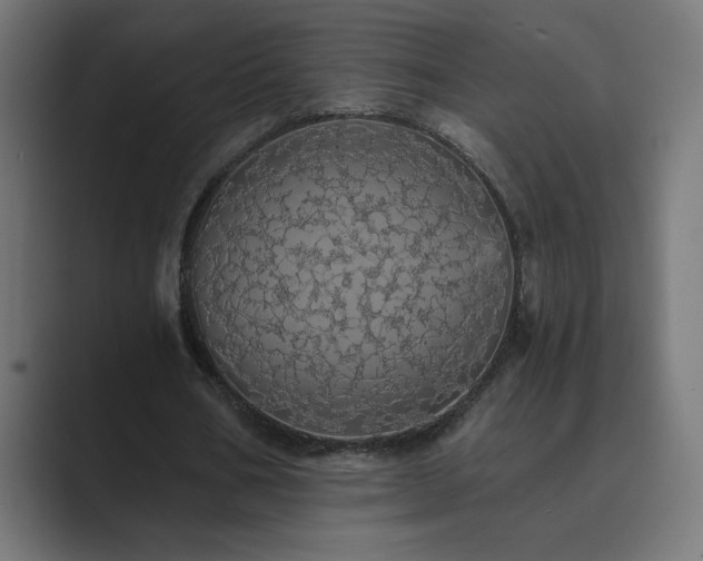 X0000089960578200706291231