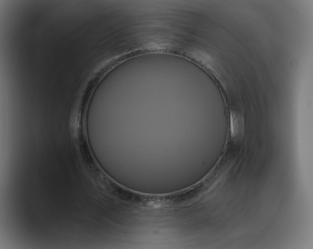 X0000089960579200706291231