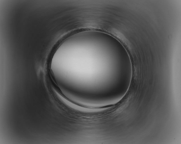X0000089960580200706291231