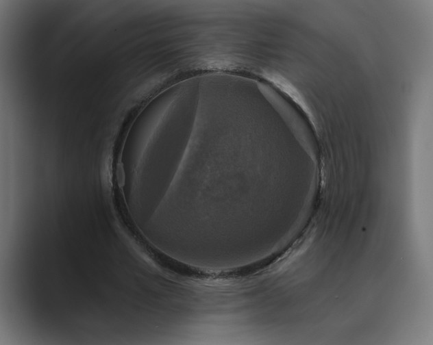 X0000089960581200706291231