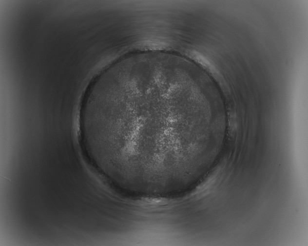 X0000089960582200706291231