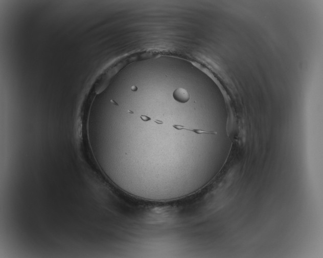 X0000089960584200706291231