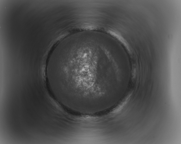 X0000089960585200706291231
