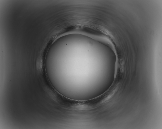 X0000089960589200706291231