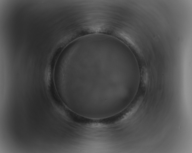 X0000089960590200706291231