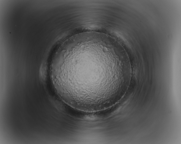 X0000089960591200706291231