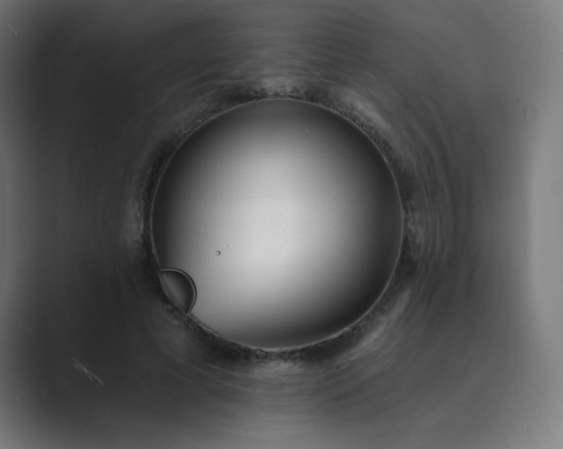 X0000089960593200706291231