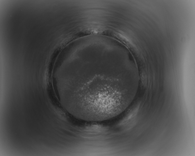 X0000089960594200706291231