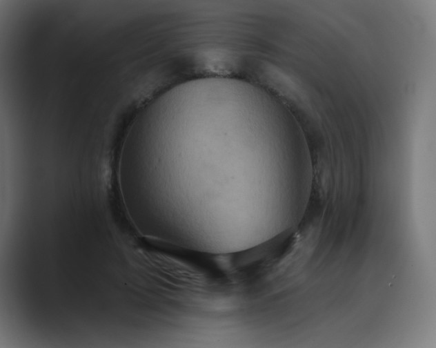 X0000089960595200706291231