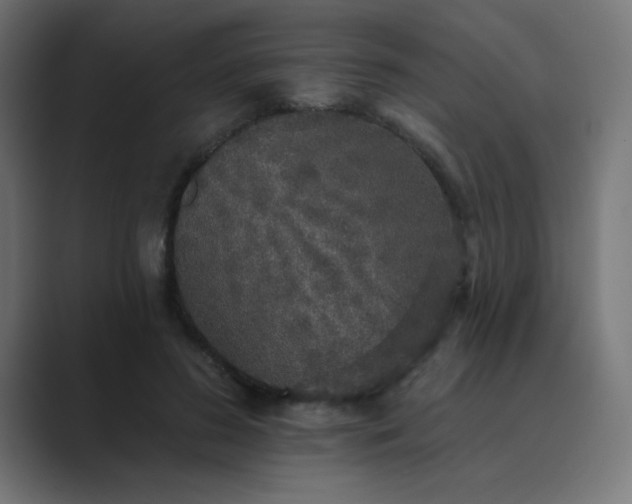 X0000089960596200706291231