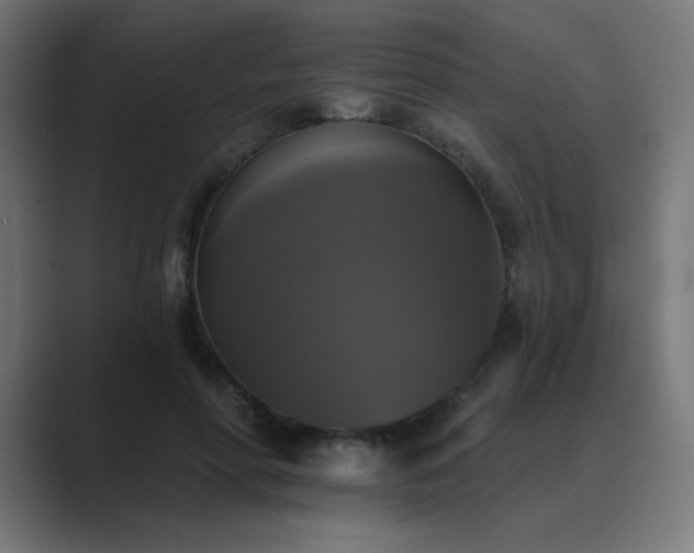 X0000089960598200706291231