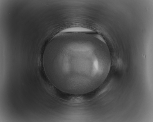 X0000089960599200706291231