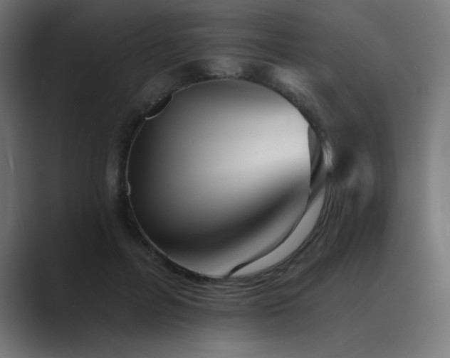 X0000089960600200706291231