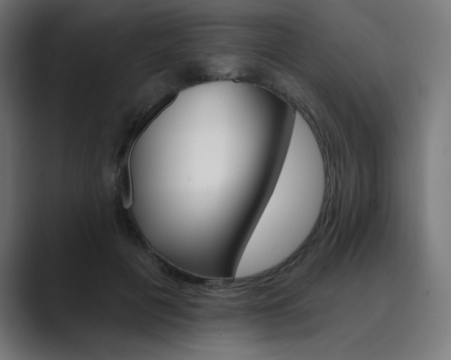 X0000089960601200706291231