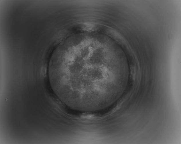 X0000089960602200706291231