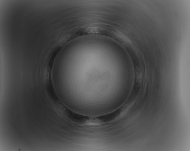 X0000089960603200706291231