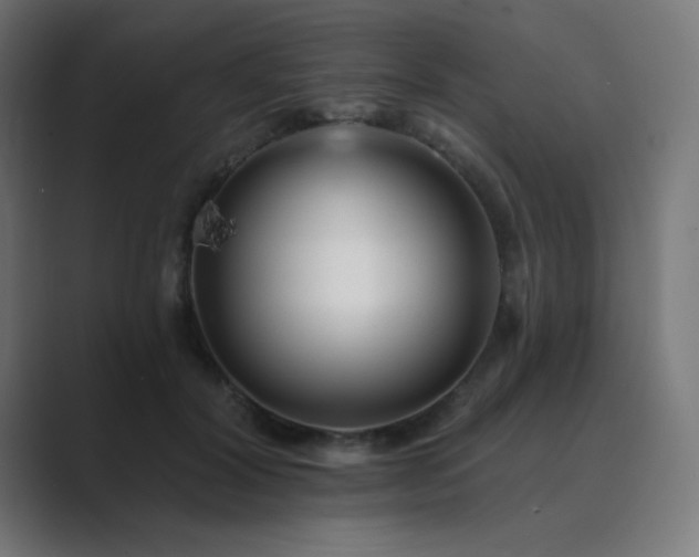 X0000089960604200706291231