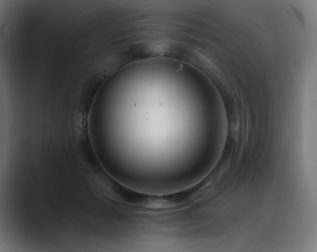 X0000089960605200706291231
