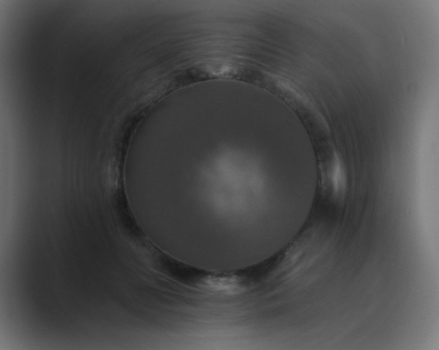 X0000089960606200706291231