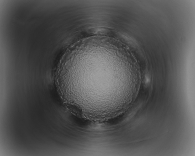 X0000089960607200706291230