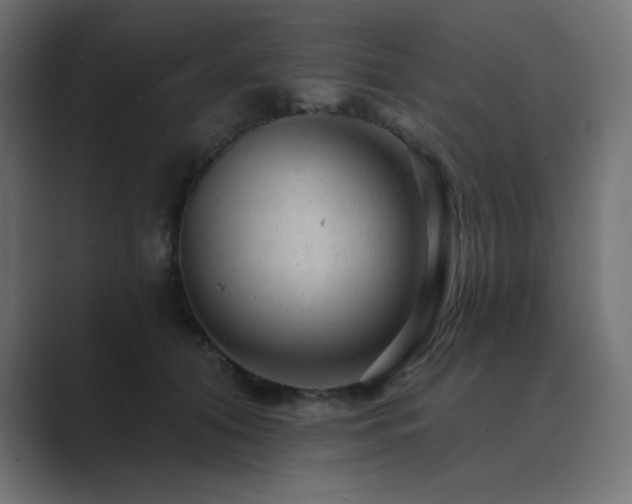 X0000089960608200706291230