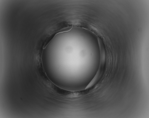 X0000089960609200706291230