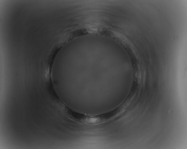X0000089960610200706291230