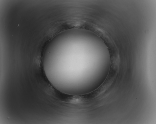 X0000089960612200706291230