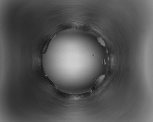 X0000089960613200706291230