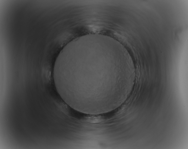 X0000089960615200706291230