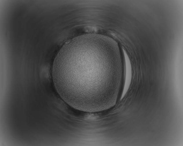 X0000089960616200706291230